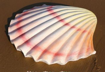貝殼雕塑，玻璃鋼貝殼雕塑，海洋生物雕塑擺件 (2)